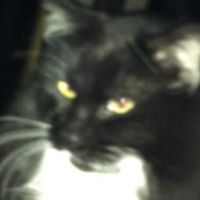 Cindy Parish Photo 18