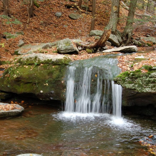 Kristin Dewitt Photo 21