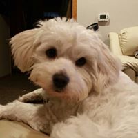 Vicki Jennings Photo 11