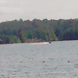 Anita Allen Photo 38 Anita Allen Photo 38