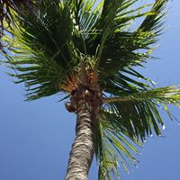 Kelly Plaza Photo 20