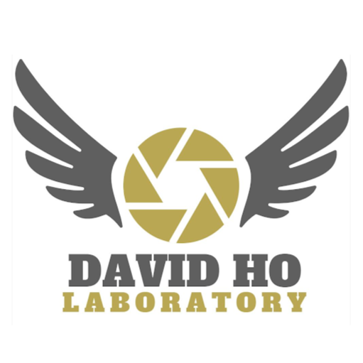 David Ho Photo 16
