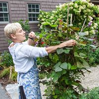 Mary Crain Photo 24 Mary Crain Photo 24