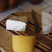 Carol Trowbridge Photo 22