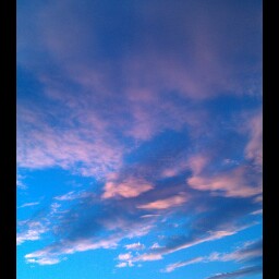 Jeff Clifford Photo 37