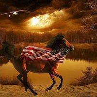 Connie Garland Photo 11