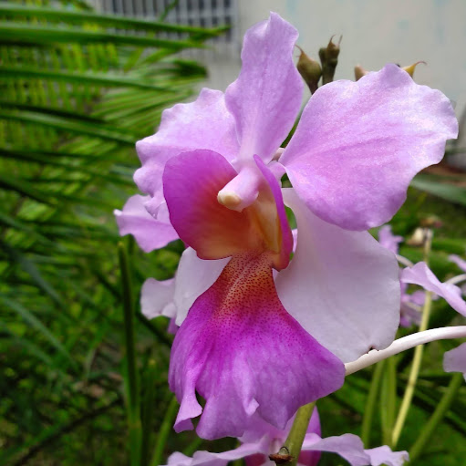 Jeannette Mendez Photo 10