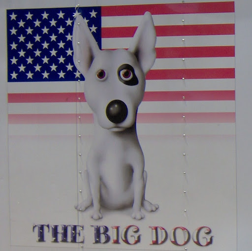 Tim Bannister Photo 20