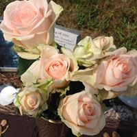Linda Thomas Photo 35
