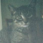 Elizabeth Hatmaker Photo 4