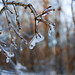 Beth Dinsmore Photo 16