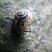 Christina Shell Photo 30