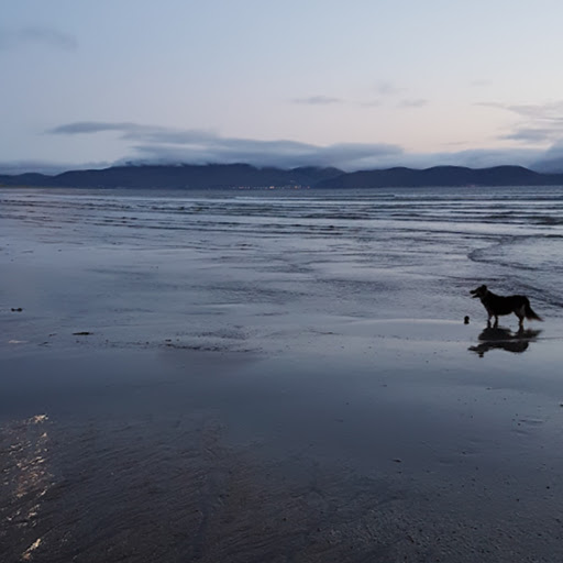 Cheryl Donahue Photo 15