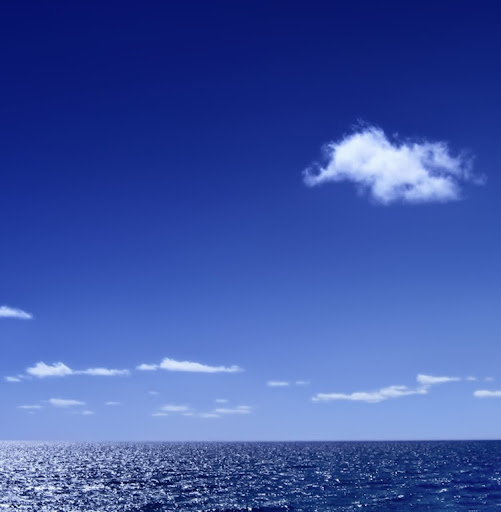 Robert Rehm Photo 24