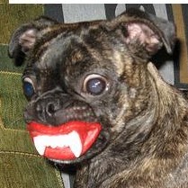 Phyllis Ward Photo 40