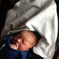 Clarence Cook Photo 17