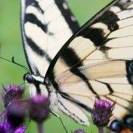 Jane Coley Photo 7