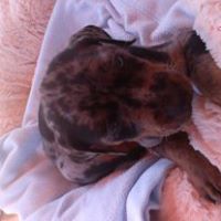 Ruby Galindo Photo 3