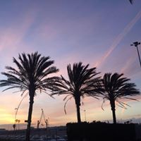 Beau Richards Photo 13