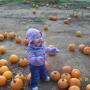 Stephanie Stanley Photo 43