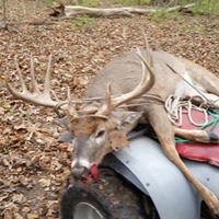 Chris Vollmer Photo 12