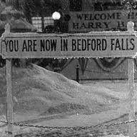 Susan Shaughnessy Photo 13