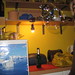 Regina Horst Photo 13