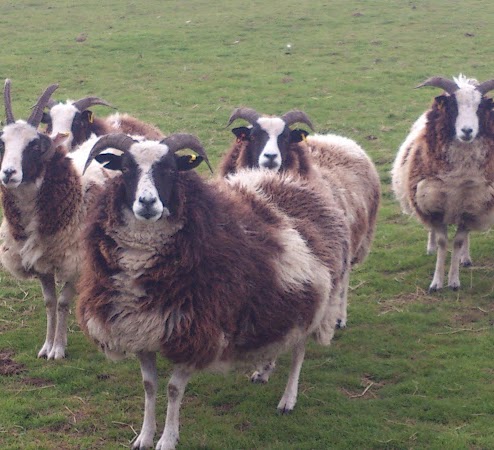 Victoria Mccormick Photo 20