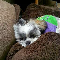 Aida Figueroa Photo 23