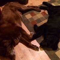 Kerry Walsh Photo 23