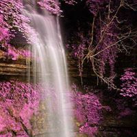 Leah Lindquist Photo 4