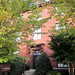 John Coffelt Photo 14
