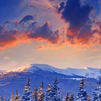 Sandra Puckett Photo 9