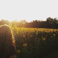 Autumn Short Photo 16