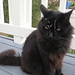 Patsy Rains Photo 15