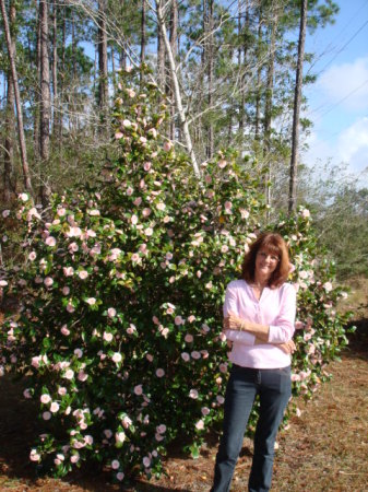 Regina Taylor Photo 38