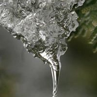 Julia Gaines Photo 21