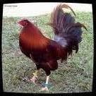 Victoria Lay Photo 5