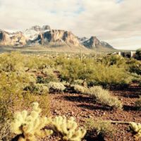 Fred Ritter Photo 16