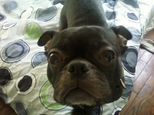 Tracy Kaiser Photo 5