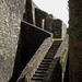 Charles Rich Photo 23