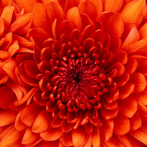 Julie Story Photo 32