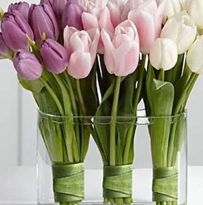 Cynthia Hodge Photo 30