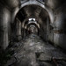 Andre Goins Photo 8