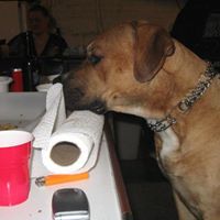 Joseph Meek Photo 31