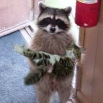 William Draper Photo 13