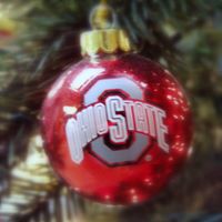 Susan Raber Photo 13