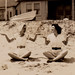 Edith Smith Photo 19