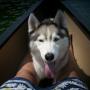 Kelly Howarth Photo 27