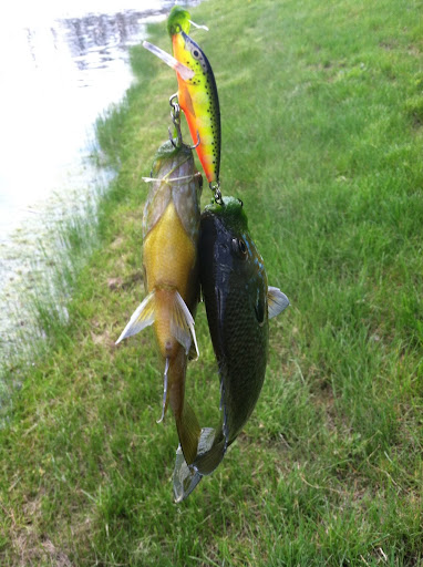 Brandon Roush Photo 23